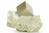 Natural Pyrite Cube In Rock - Navajun, Spain #361871-1